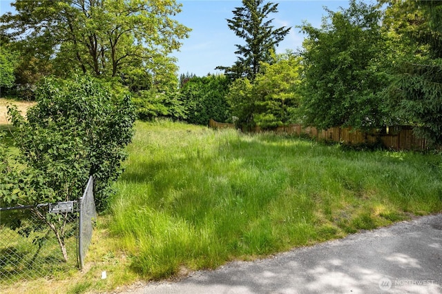 1958 12th Ave SE, Olympia, WA 98501 - view of yard