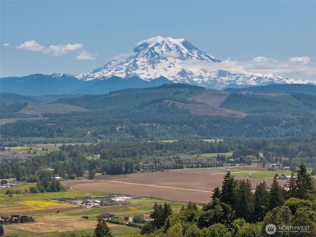 17105 139th Ave E, Puyallup, WA 98374 - photo 36