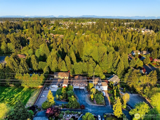 2623 189th St SE Unit A, Bothell, WA 98012 - aerial view of a heavily wooded area and mountains