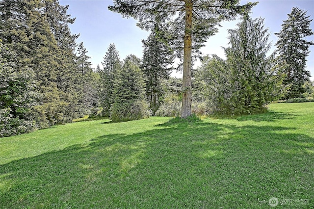 881 Lawson Rd, Camano Island, WA 98282 - view of grassy yard