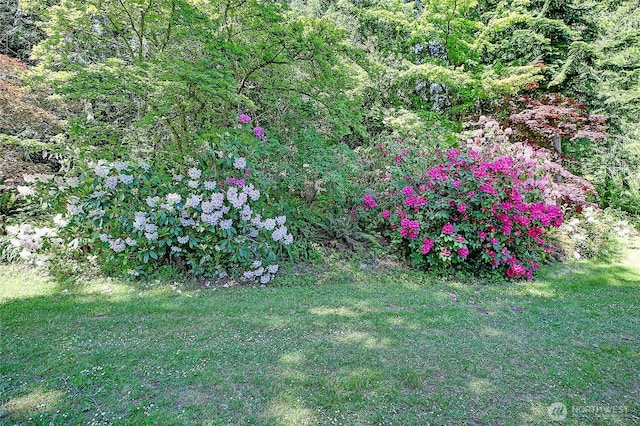 881 Lawson Rd, Camano Island, WA 98282 - view of green lawn