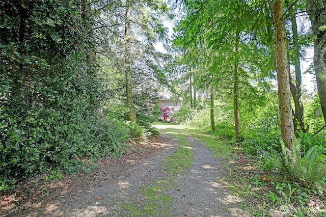 881 Lawson Rd, Camano Island, WA 98282 - view of dirt / gravel driveway