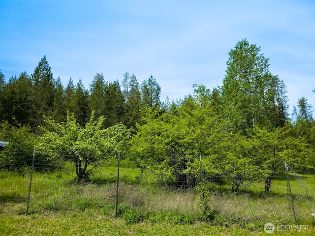 3629 Sand Creek Rd, Kettle Falls, WA 99141 - photo 26