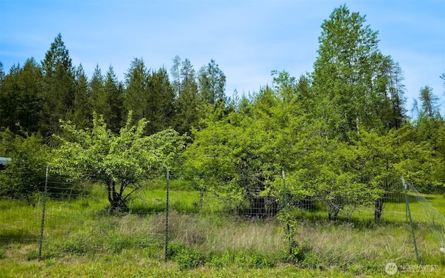 3629 Sand Creek Rd, Kettle Falls, WA 99141 - photo 27