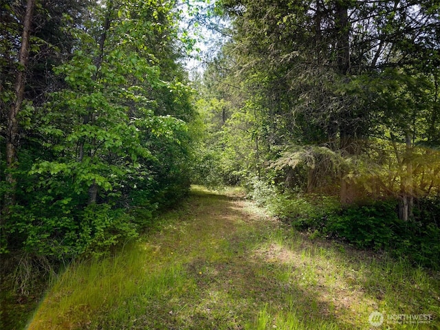 3629 Sand Creek Rd, Kettle Falls, WA 99141 - photo 28