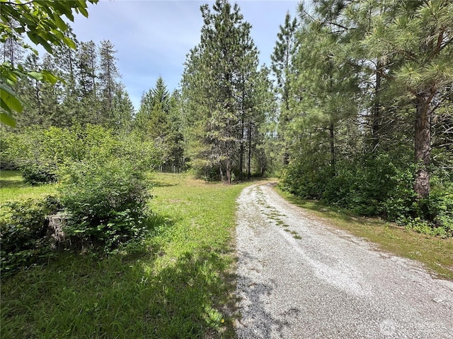 3629 Sand Creek Rd, Kettle Falls, WA 99141 - photo 30