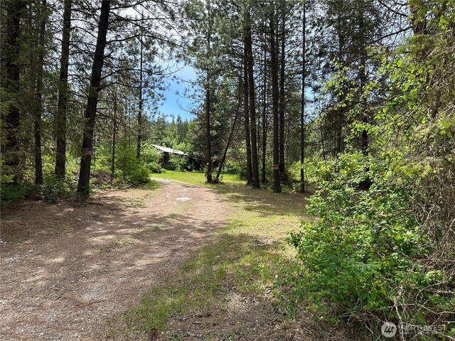 3629 Sand Creek Rd, Kettle Falls, WA 99141 - photo 34