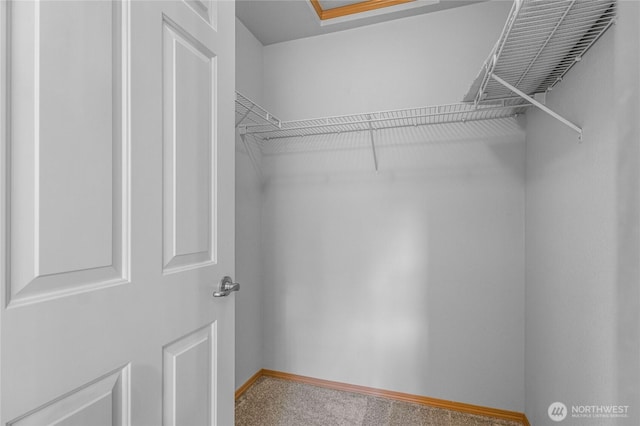 2546 Mitchell Ave Unit 2, Dupont, WA 98327 - walk in closet featuring carpet flooring