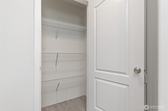 17101 Snowbell Ct SE, Yelm, WA 98597 - view of closet