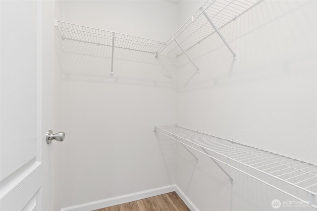 17101 Snowbell Ct SE, Yelm, WA 98597 - spacious closet featuring light wood-style floors