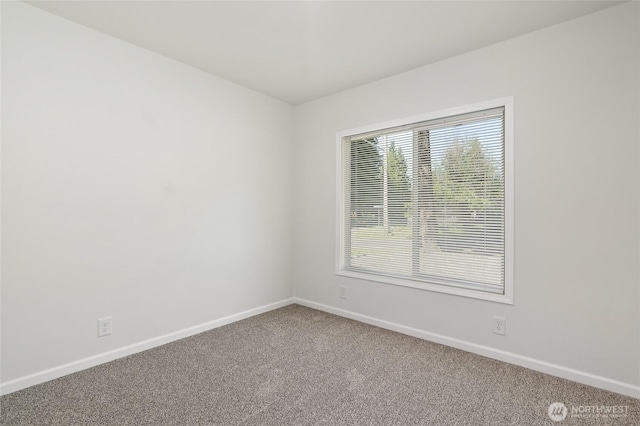 17101 Snowbell Ct SE, Yelm, WA 98597 - empty room featuring carpet floors and baseboards