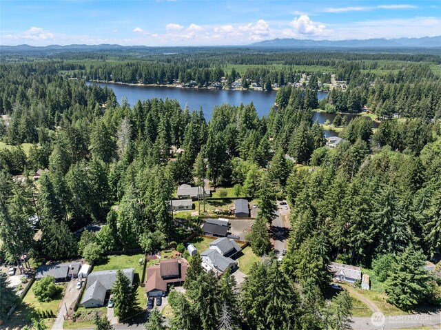 201 E Park Loop, Shelton, WA 98584 - aerial view of property's location with a heavily wooded area and a water and mountain view