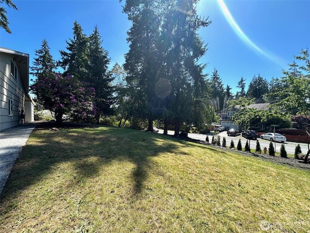 1805 N 167th St, Shoreline, WA 98133 - photo 7