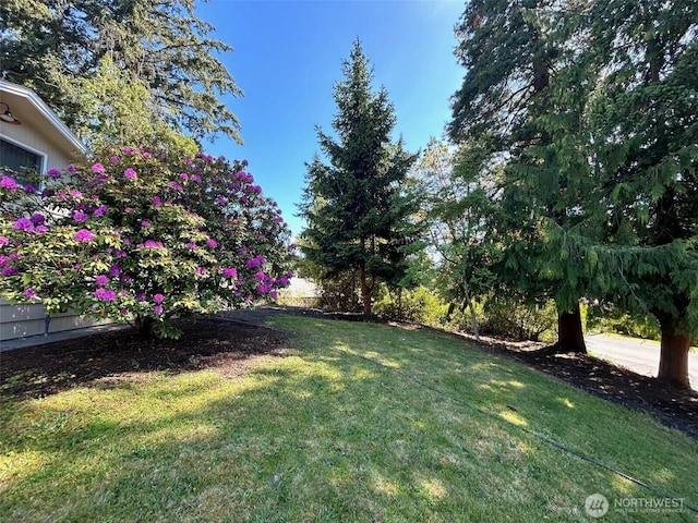 1805 N 167th St, Shoreline, WA 98133 - photo 3