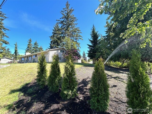 1805 N 167th St, Shoreline, WA 98133 - photo 8