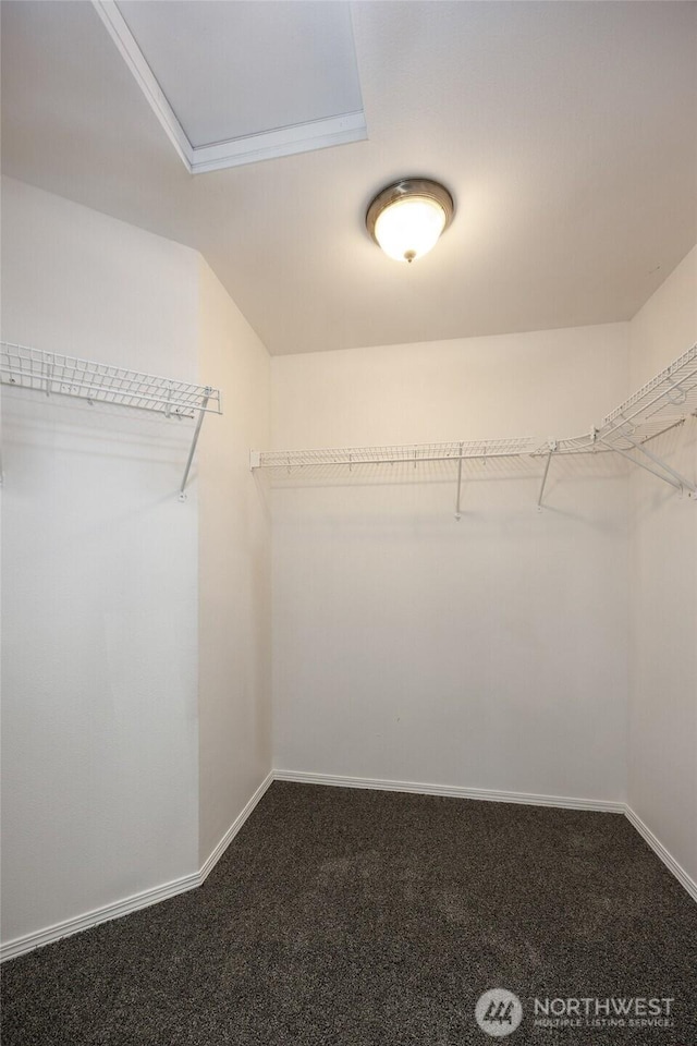 1105 200th Street Ct E, Spanaway, WA 98387 - spacious closet featuring dark colored carpet
