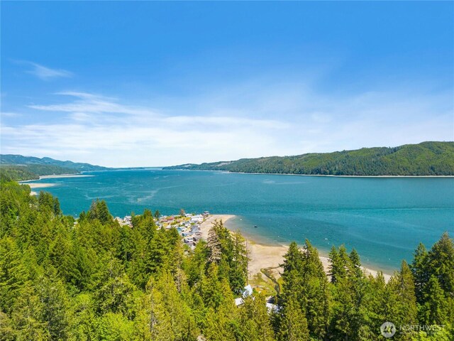 131 N Paradise Dr, Lilliwaup, WA 98555 - photo 10