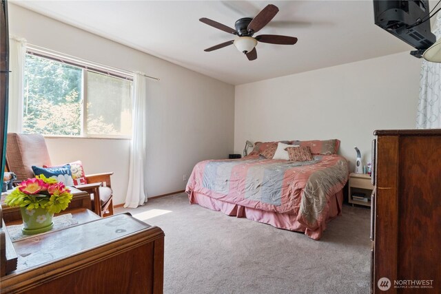 131 N Paradise Dr, Lilliwaup, WA 98555 - photo 22