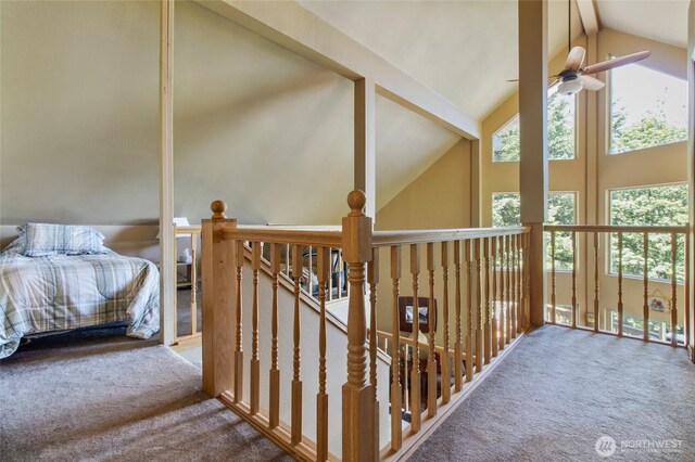 131 N Paradise Dr, Lilliwaup, WA 98555 - photo 26