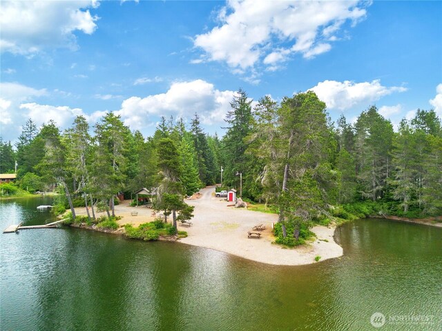 131 N Paradise Dr, Lilliwaup, WA 98555 - photo 39