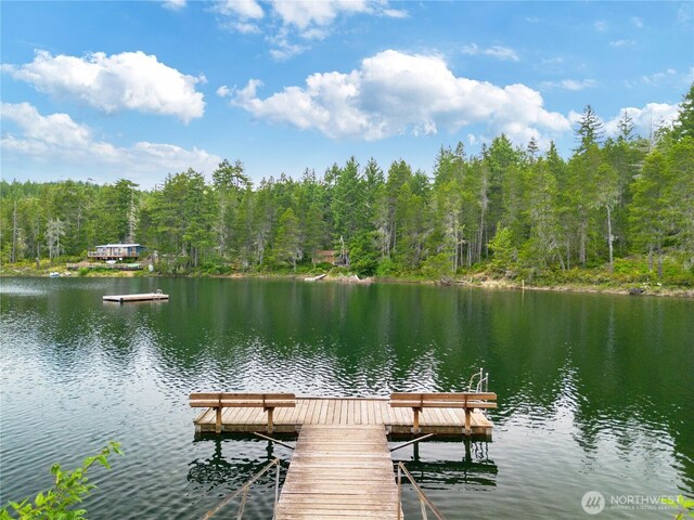131 N Paradise Dr, Lilliwaup, WA 98555 - photo 40