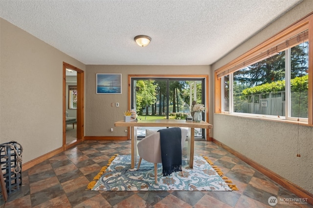 35224 28th Ave S, Federal Way, WA 98003 - office area with plenty of natural light, a textured ceiling, baseboards, and a textured wall