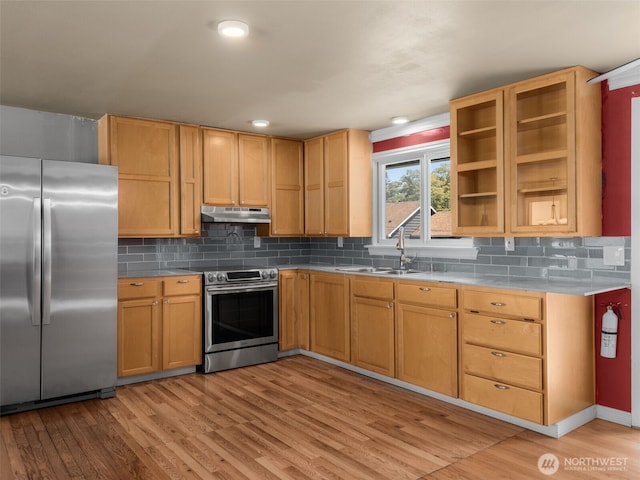 11822 10th Ave S, Seattle, WA 98168 - kitchen featuring stainless steel appliances, light wood-style floors, decorative backsplash, and under cabinet range hood
