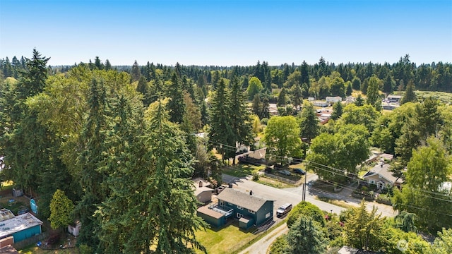 11822 10th Ave S, Seattle, WA 98168 - aerial view of property and surrounding area with a forest