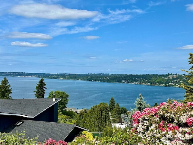 714 SW 296th St, Federal Way, WA 98023 - water view