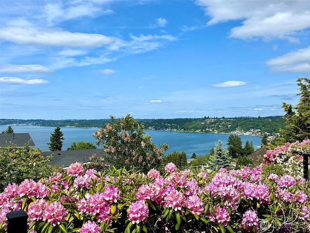 714 SW 296th St, Federal Way, WA 98023 - water view
