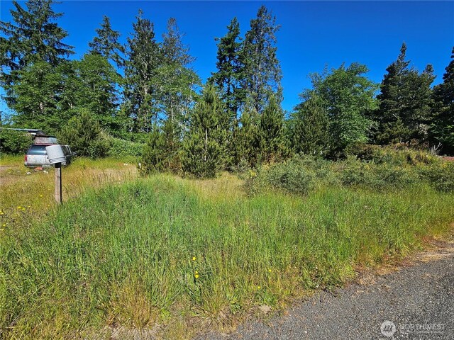 0 Z Pl, Ocean Park, WA 98640