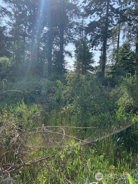 0 Z Pl, Ocean Park, WA 98640