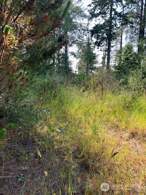0 Z Pl, Ocean Park, WA 98640