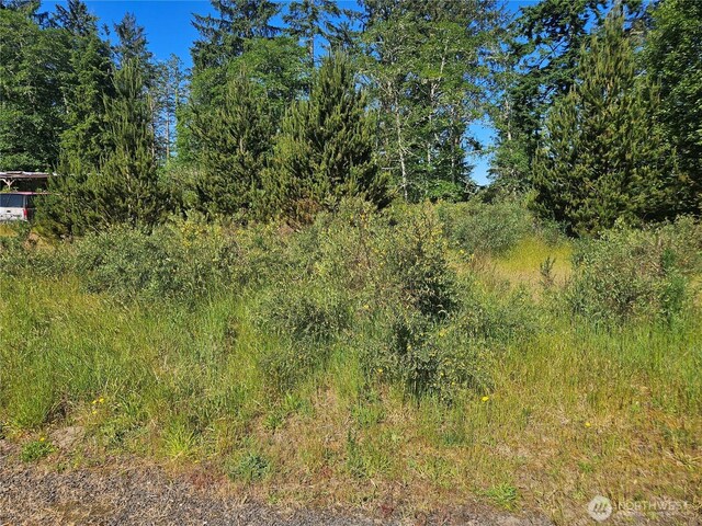 0 Z Pl, Ocean Park, WA 98640
