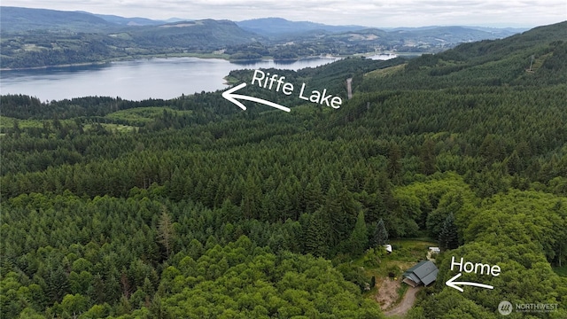 118 Foxglove Ln, Morton, WA 98356 - aerial view of a forest and a water and mountain view