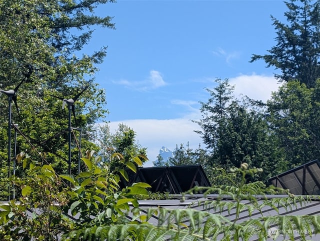 12508 Kellogg Lake Rd, Sultan, WA 98294 - view of yard