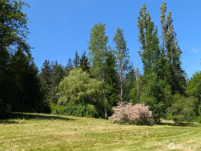12508 Kellogg Lake Rd, Sultan, WA 98294 - view of tree filled area