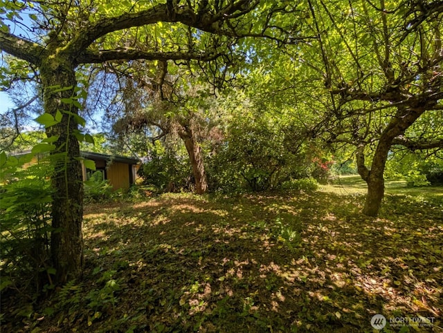 12508 Kellogg Lake Rd, Sultan, WA 98294 - view of yard
