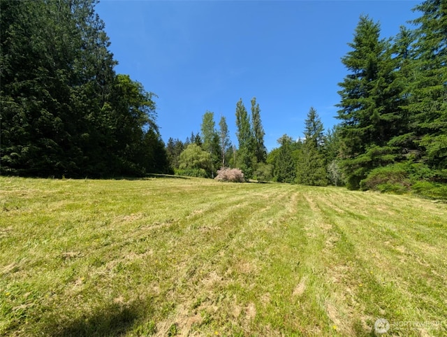 12508 Kellogg Lake Rd, Sultan, WA 98294 - view of grassy yard with a view of trees and a rural view