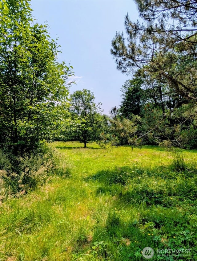 12508 Kellogg Lake Rd, Sultan, WA 98294 - view of undeveloped land