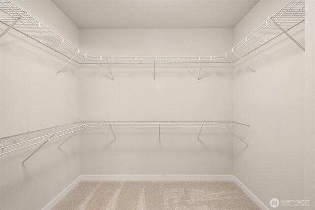 19722 Filbert Dr Unit B-3, Bothell, WA 98012 - walk in closet with light carpet