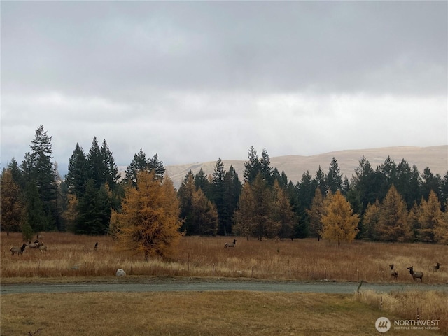 77 Amanda Rd, Oroville, WA 98844 - photo 31