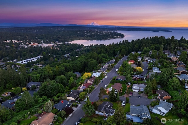 12710 89th Pl NE, Kirkland, WA 98034 - photo 33