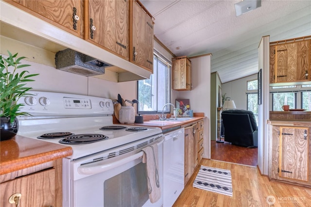 1851 Washington Dr, Point Roberts, WA 98281 - kitchen featuring white appliances, a sink, plenty of natural light, vaulted ceiling, and light wood finished floors