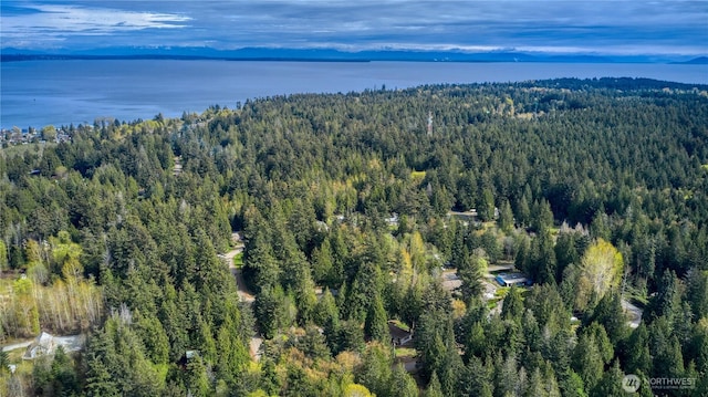 1851 Washington Dr, Point Roberts, WA 98281 - drone / aerial view of a heavily wooded area and a nearby body of water