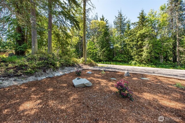 81 Stuart Dr, Port Angeles, WA 98362 - photo 8