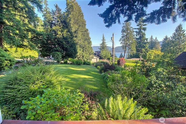 19640 SE 29th St, Sammamish, WA 98075 - view of green lawn
