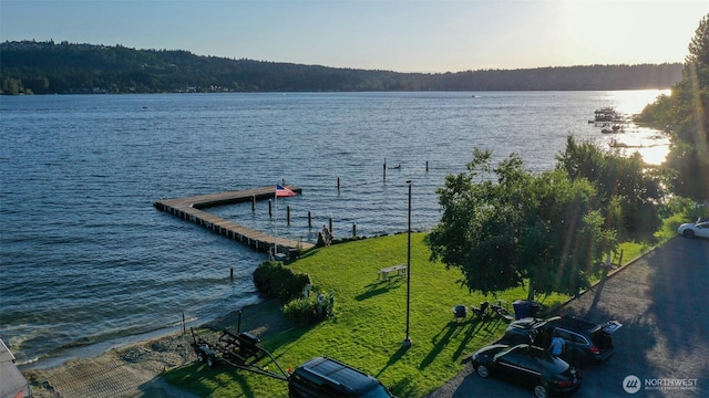 19640 SE 29th St, Sammamish, WA 98075 - water view featuring a dock and a forest
