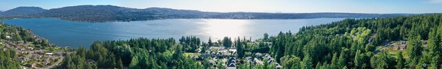 19640 SE 29th St, Sammamish, WA 98075 - water view with a mountainous background and a heavily wooded area