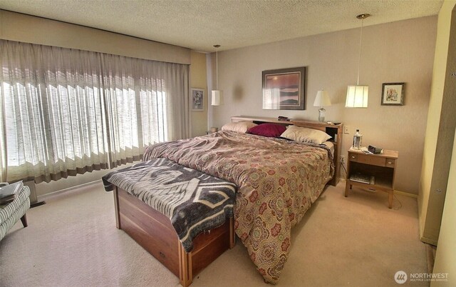 19640 SE 29th St, Sammamish, WA 98075 - carpeted bedroom with a textured ceiling and baseboards